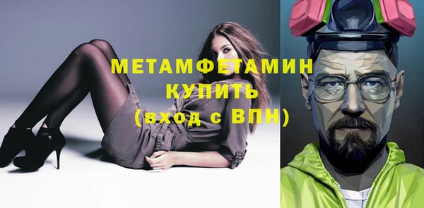 шишки Верея
