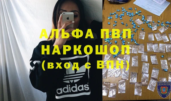 шишки Верея