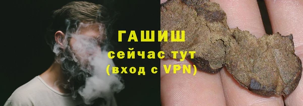 шишки Верея