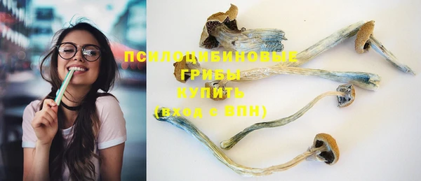 индика Верхнеуральск