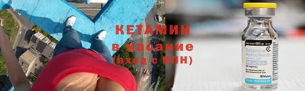 шишки Верея