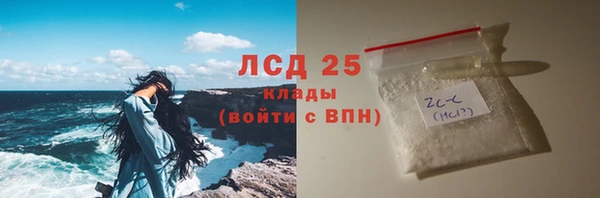 шишки Верея