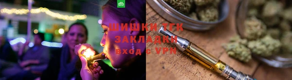 PSILOCYBIN Верхний Тагил