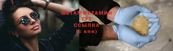 шишки Верея