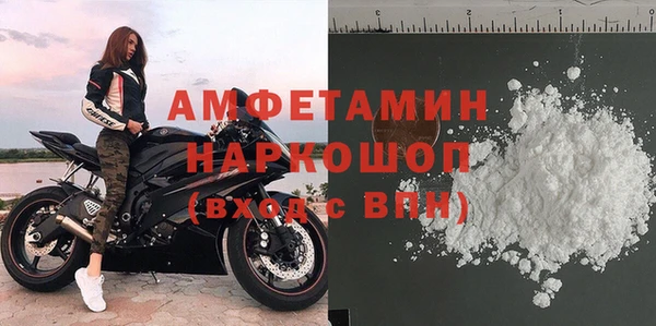 шишки Верея