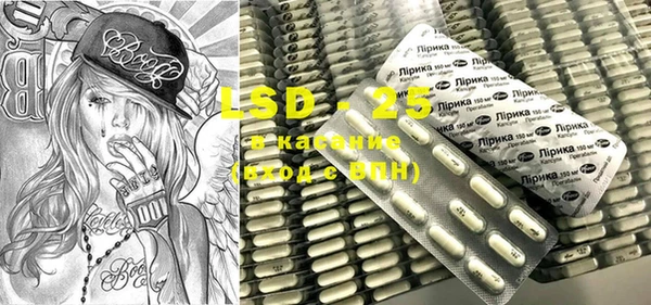 шишки Верея