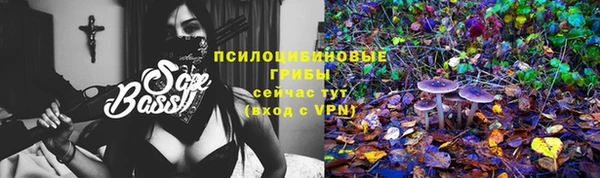 PSILOCYBIN Верхний Тагил