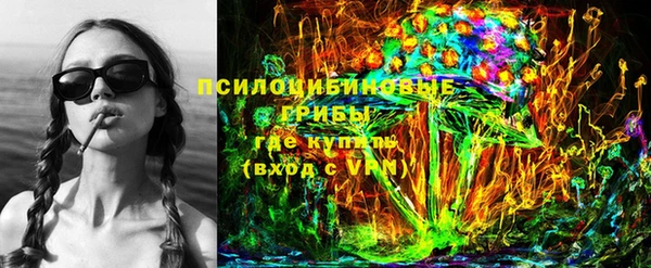 индика Верхнеуральск
