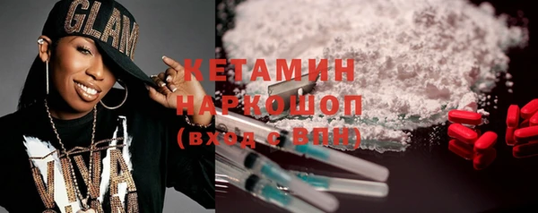 шишки Верея